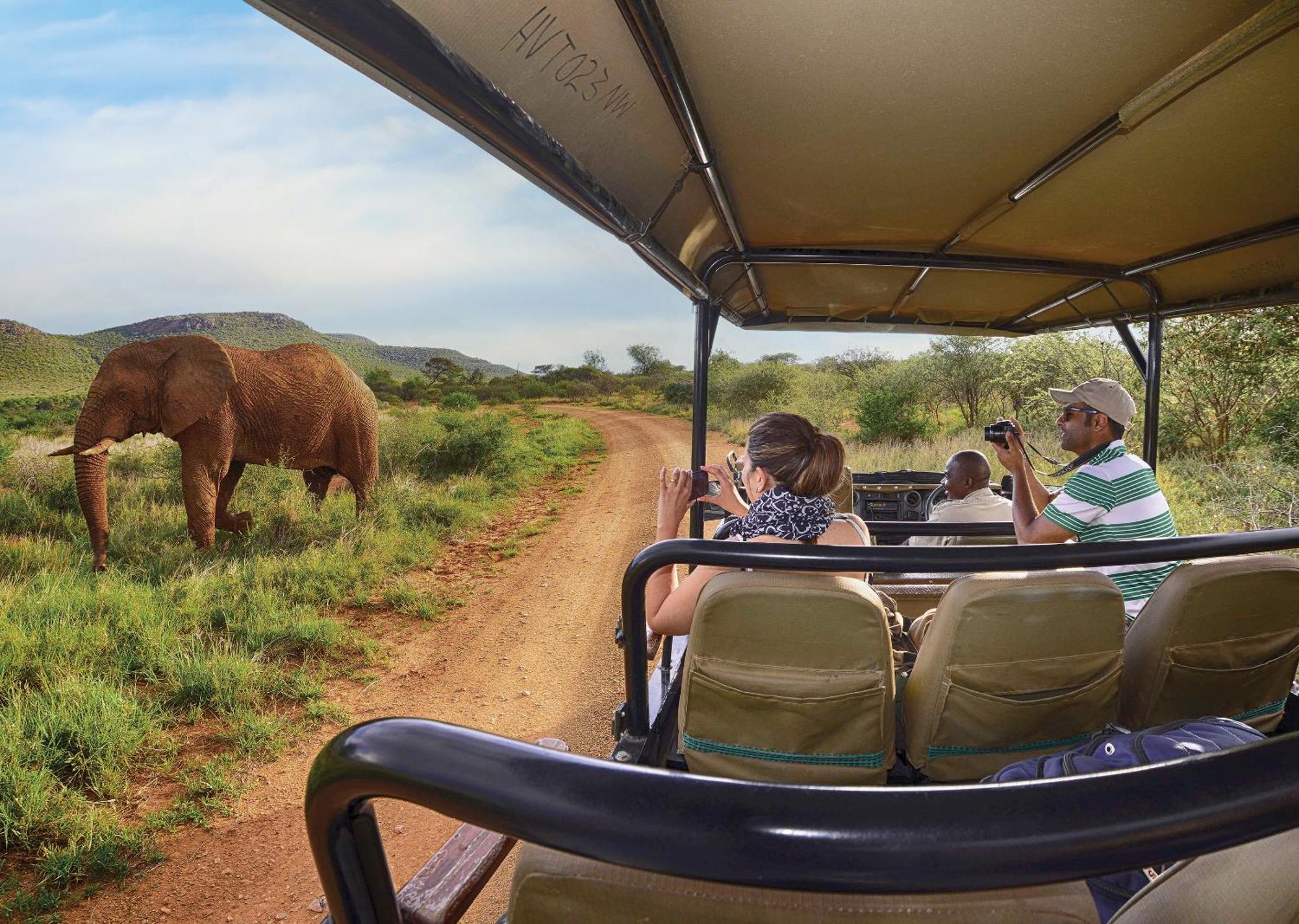 Madikwe River Lodge By Dream Resorts Madikwe Game Reserve Exterior foto