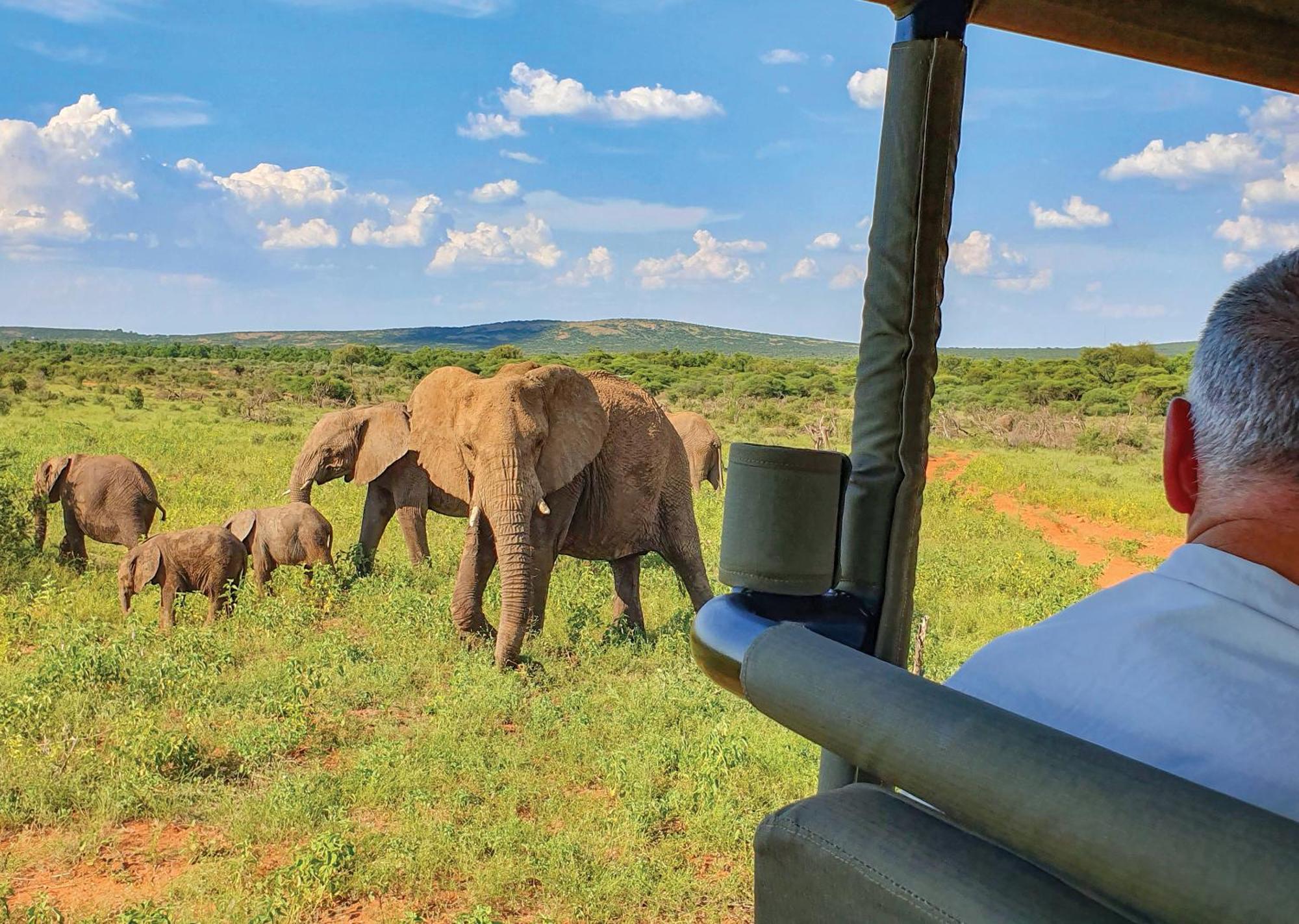 Madikwe River Lodge By Dream Resorts Madikwe Game Reserve Exterior foto