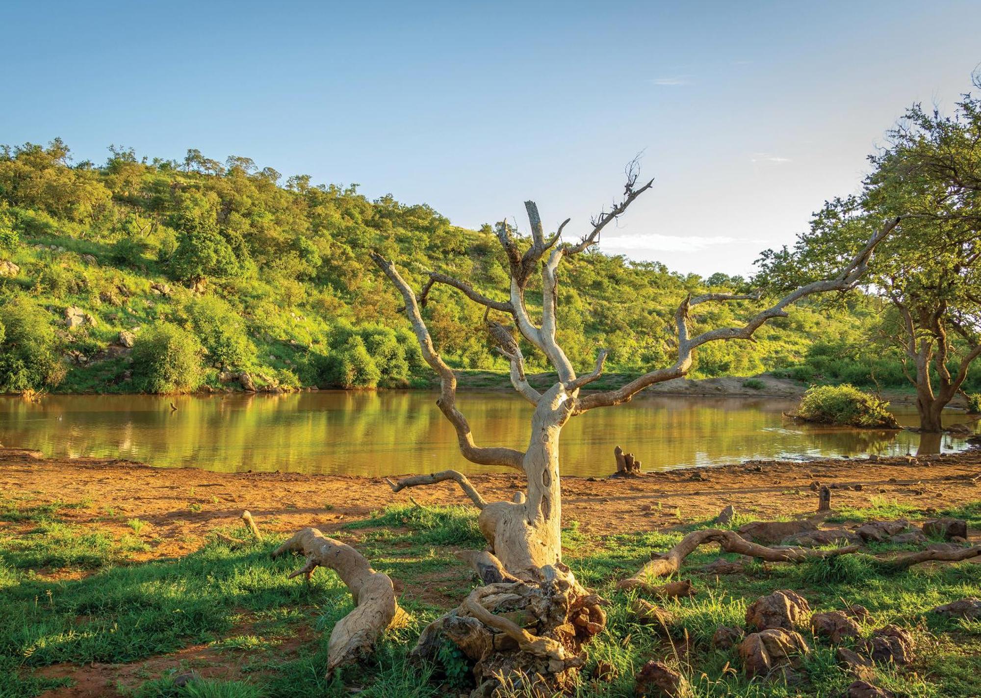 Madikwe River Lodge By Dream Resorts Madikwe Game Reserve Exterior foto