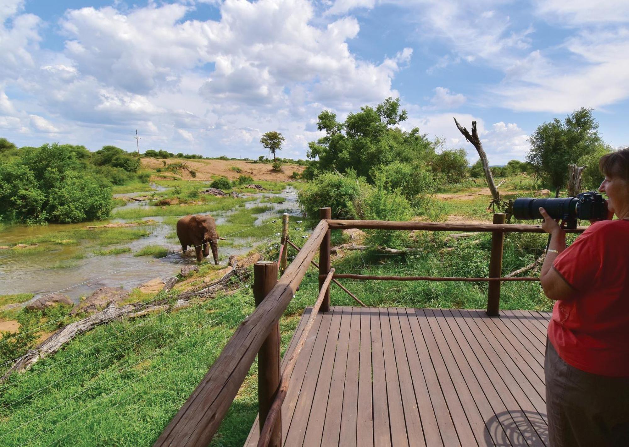 Madikwe River Lodge By Dream Resorts Madikwe Game Reserve Cameră foto